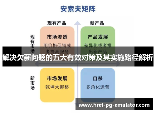 解决欠薪问题的五大有效对策及其实施路径解析 解决欠薪问题的五大有效对策及其实施路径解析