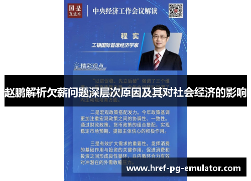 赵鹏解析欠薪问题深层次原因及其对社会经济的影响 赵鹏解析欠薪问题深层次原因及其对社会经济的影响