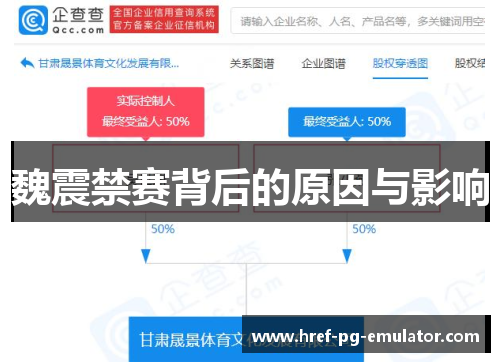 魏震禁赛背后的原因与影响