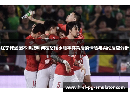 辽宁球迷因不满裁判判罚怒砸水瓶事件背后的情感与舆论反应分析