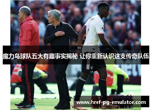 魔力鸟球队五大有趣事实揭秘 让你重新认识这支传奇队伍