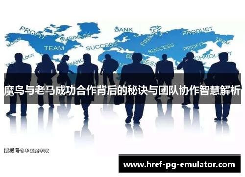 魔鸟与老马成功合作背后的秘诀与团队协作智慧解析